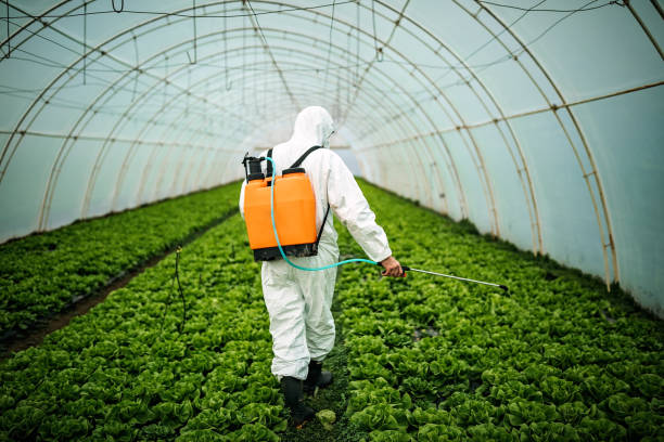 Best Emergency Pest Control  in Kenhorst, PA