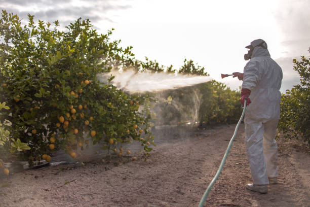 Best Cockroach Control Services  in Kenhorst, PA