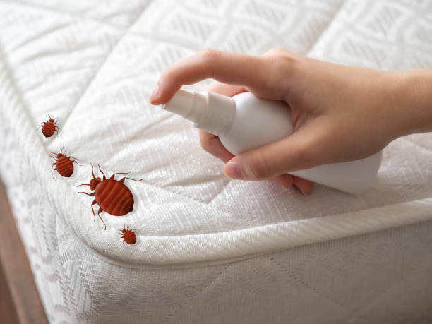 Best Pest Removal Services  in Kenhorst, PA