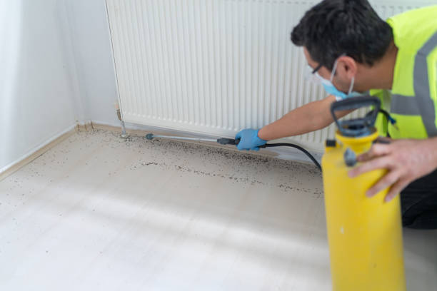 Best Affordable Pest Control Services  in Kenhorst, PA